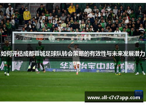 如何评估成都蓉城足球队转会策略的有效性与未来发展潜力
