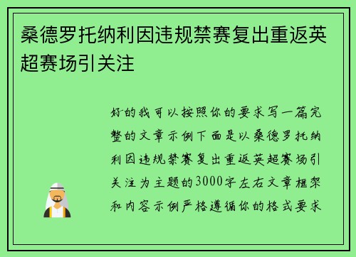 桑德罗托纳利因违规禁赛复出重返英超赛场引关注 桑德罗托纳利因违规禁赛复出重返英超赛场引关注